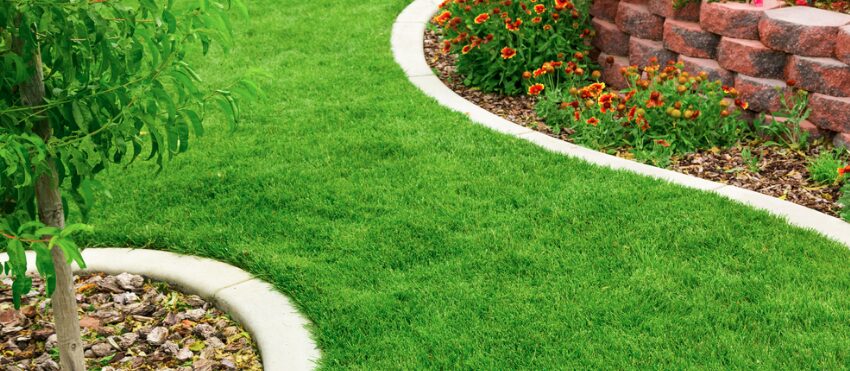 The Best Landscaping Tip: Hire a Professional Landscaping Service