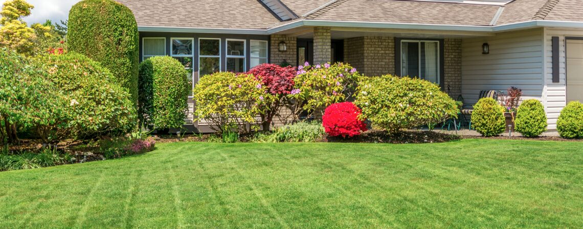 The Best Landscaping Tip: Hire a Professional Landscaping Service