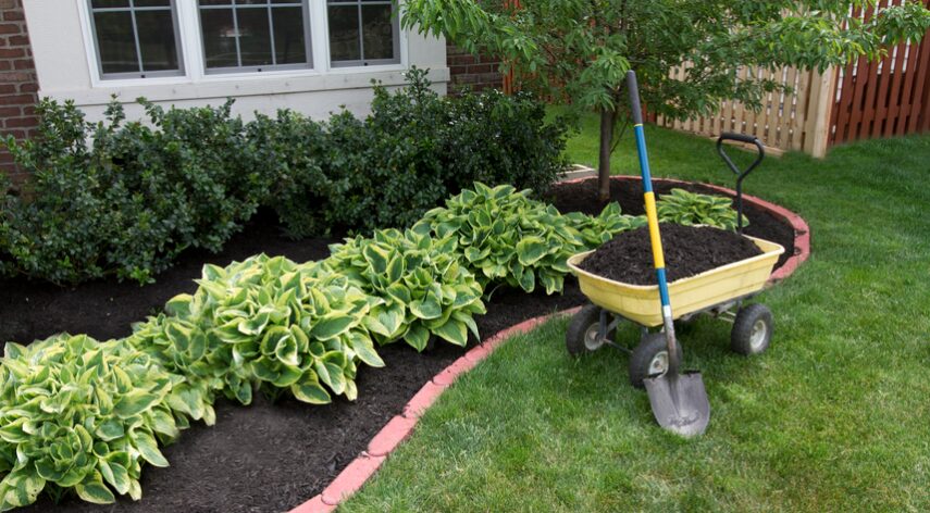 The Best Landscaping Tip: Hire a Professional Landscaping Service