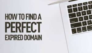How to find a powerful expired domain