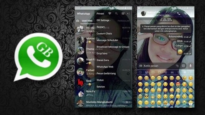 Features Of WhatsApp Transparent Apk
