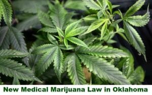 New Medical Marijuana and Cannabis Laws in Oklahoma in 2021