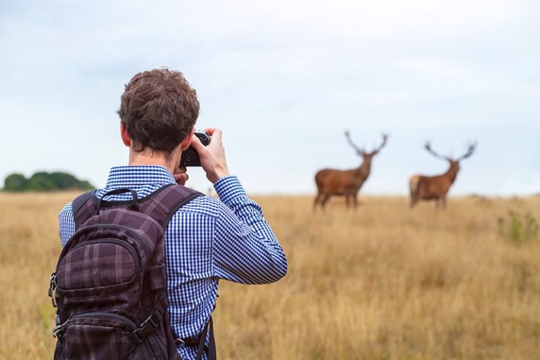 How to Be a Nature Photographer in Canada