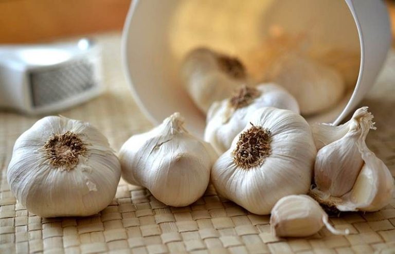 Benefits of Garlic for Healthy and Happy Lifestyle