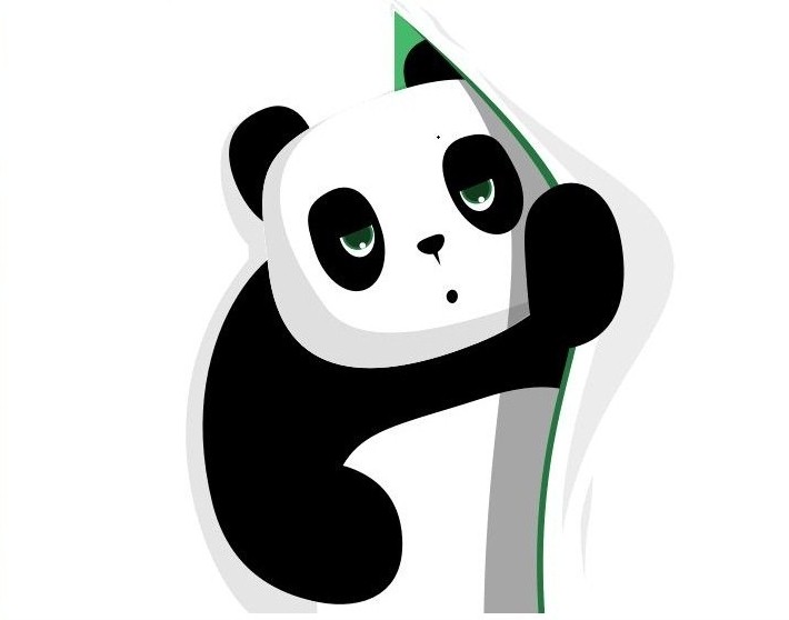 Panda VPN Pro APK MOD Feauters