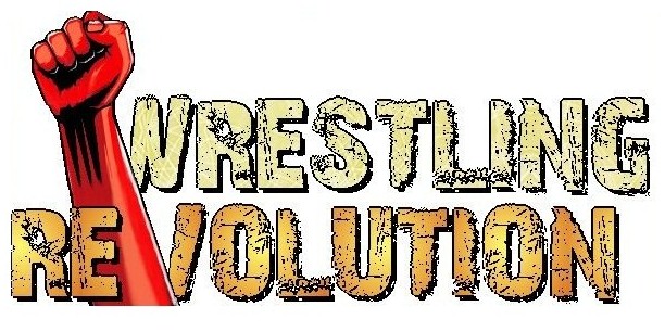 Wrestling Revolution 3d Mod Apk 2 