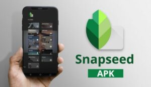 Snapseed MOD APK 2022 (Premium Unlocked) Download for Android
