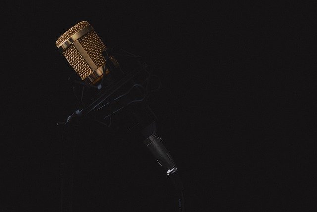 The Best Studio Microphones for Professional Recording