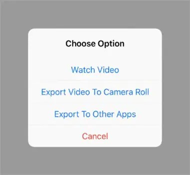 Press “export video to camera roll
