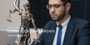 What is Appellate Law and what are the Types of Appellate Lawyers