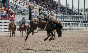 Catch the Action: National Finals Rodeo 2023 Live Streaming Tips and Platforms