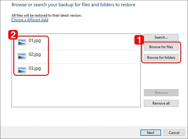 Choose the files that you need to restore and click the Restore button to recover them.