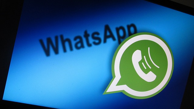 Best Free WhatsApp Transfer Software With Simple Steps