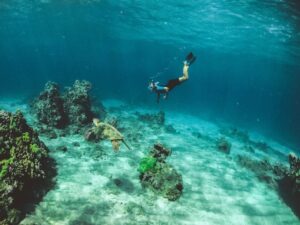What Makes Islamorada Scuba Diving Charters a Top Destination for Underwater Adventures?