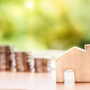 Borrowing as a Training Program for Building Credit