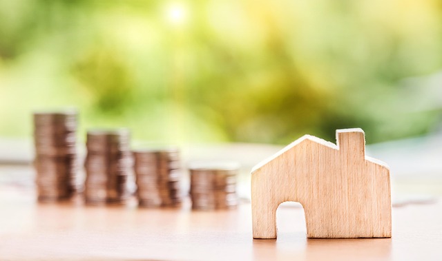 Borrowing as a Training Program for Building Credit