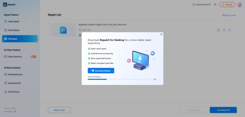  preview and export repaired files