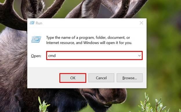enter cmd command choose ok button