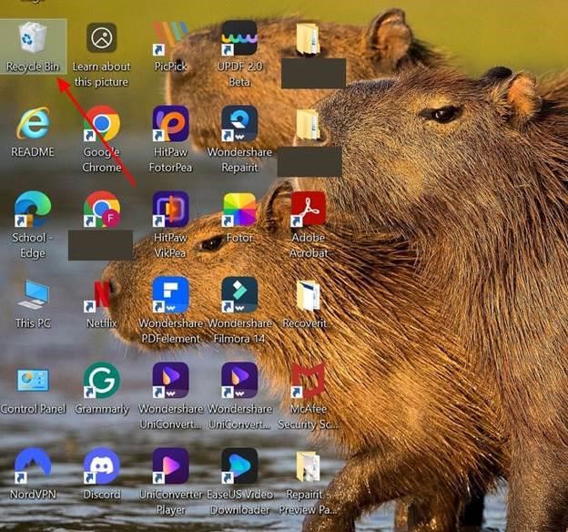 click on recycle bin app